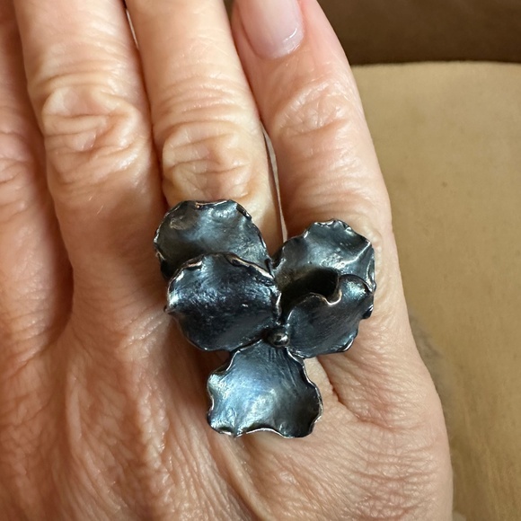 Panzè Adjustable Ring in Oxidized Silver - Picture 4 of 6